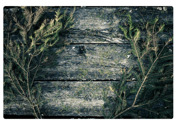 Download Christmas Wood Background Wood Texture - Christmas wood background Collection